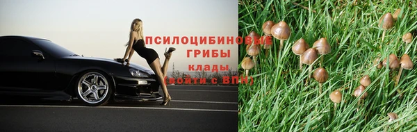 дурь Нефтекумск